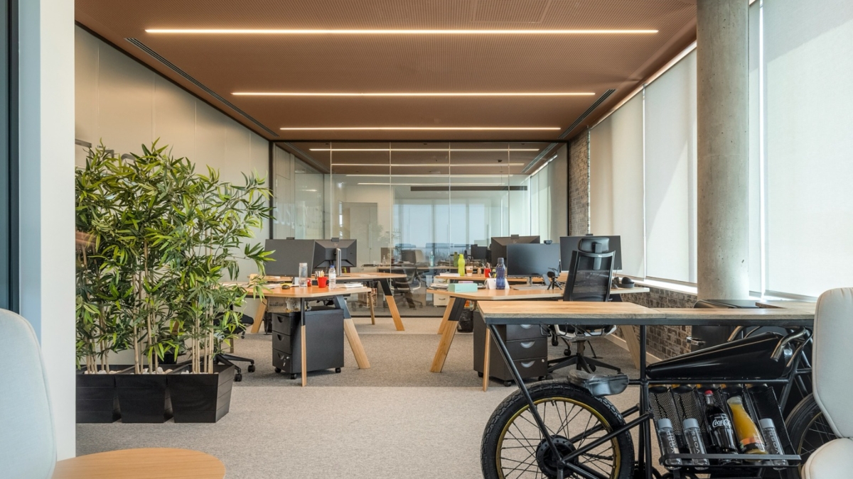 50994912-805e-44a9-a13b-7903f2fecbcd